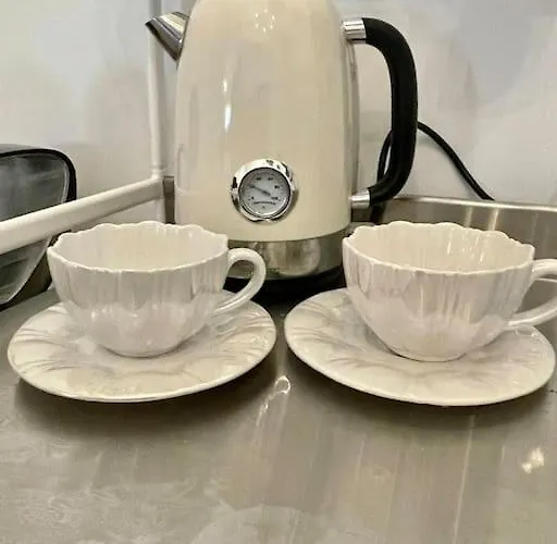 Roy Junto Al Mar Torrevieja